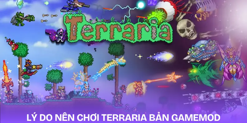 terraria-uu-diem